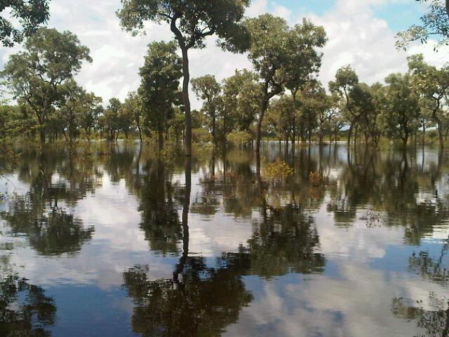 Fields submerged in flood water