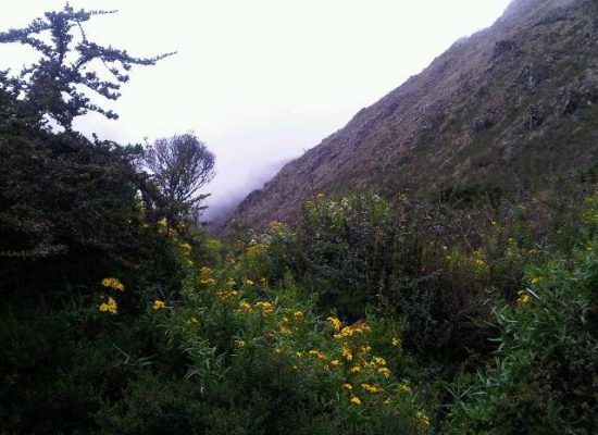 inca-trail-1